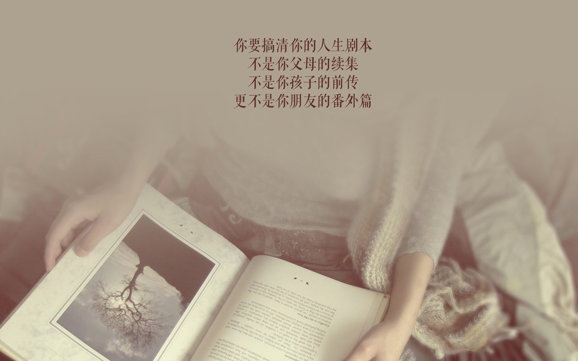 kaiyun体育app-魔术新援状态回暖表现全面，最新魔术