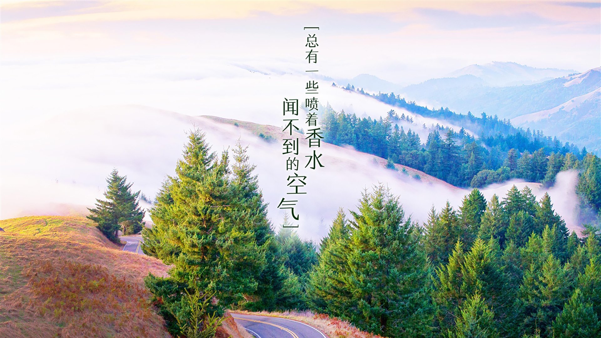 开云官方网页登录-鹈鹕球迷自制应援短片获官方转发,鹈鹕球衣赞助商
